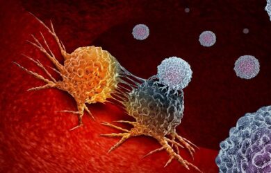 La inmunoterapia, el gran actor de la lucha contra el cáncer